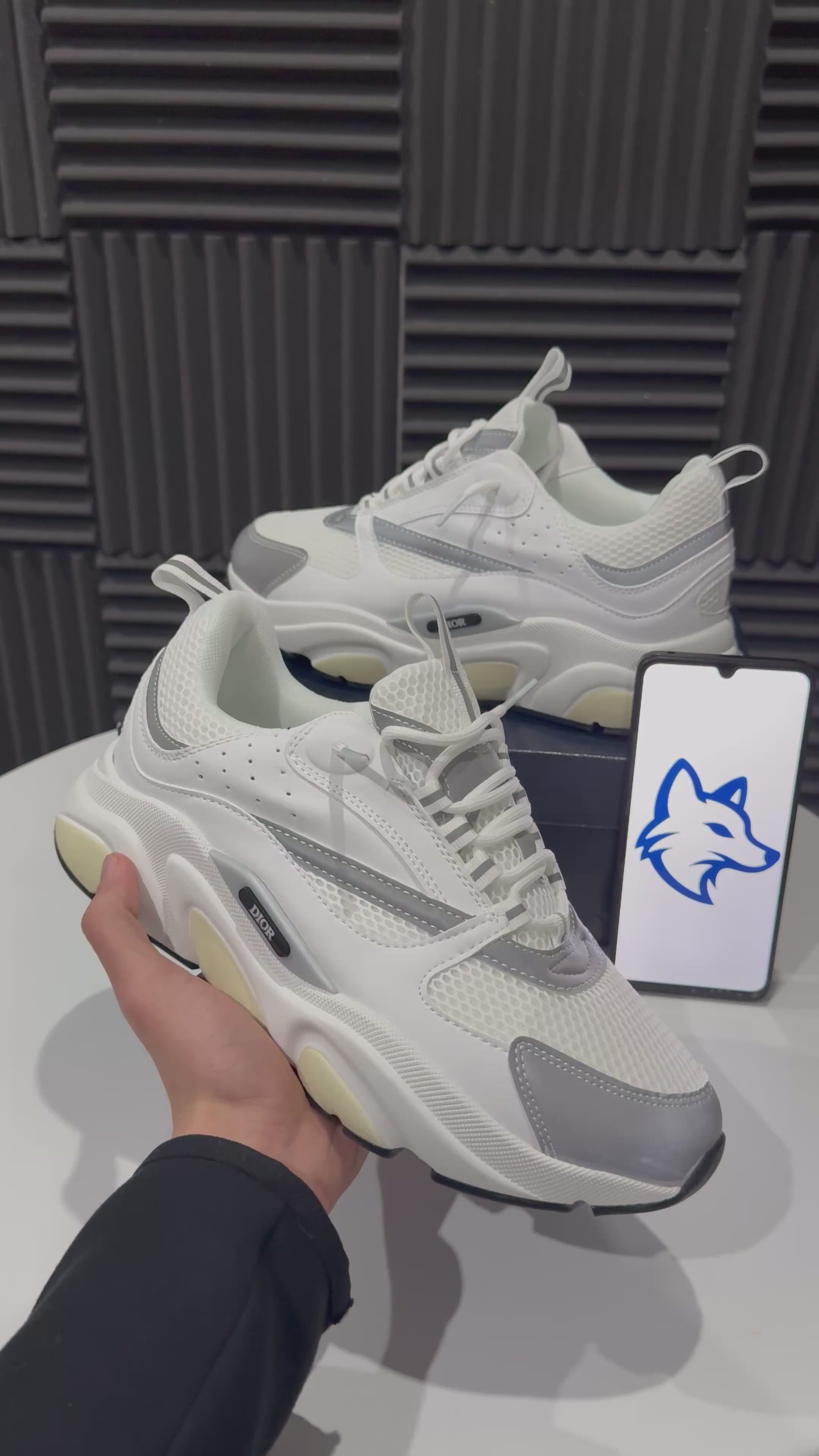 Dior B22 White